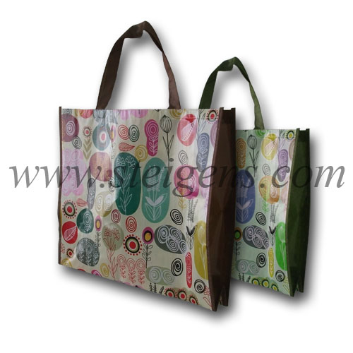 Non_Woven_Bag_wi_4cc041a71bbbc