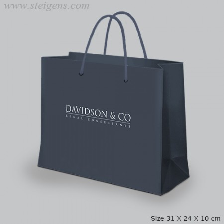 Multi-Color-Paper-Bag-SPB-8068-01
