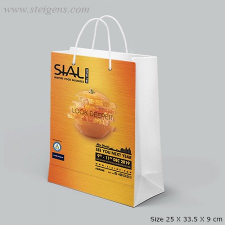 Multi-Color-Paper-Bag-SPB-8071