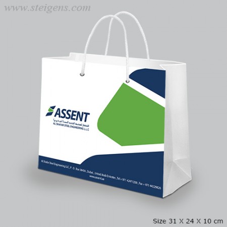 Multi Color Paper Bag SPB 8076