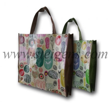 Non Woven Bags with outside Lamination