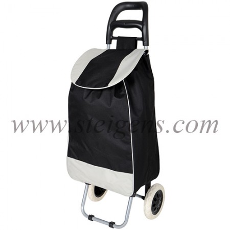 trolley bag
