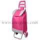 trolley bag