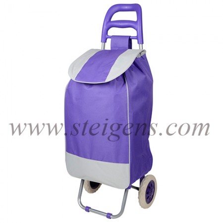 trolley bag