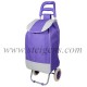trolley bag
