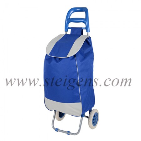 trolley bag