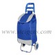 trolley bag