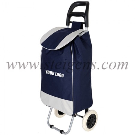 trolley bag