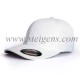 cap-stdcf-1010