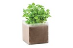 ST-PLANT