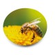 93335_106-logo