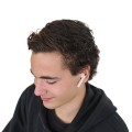 97938_amb